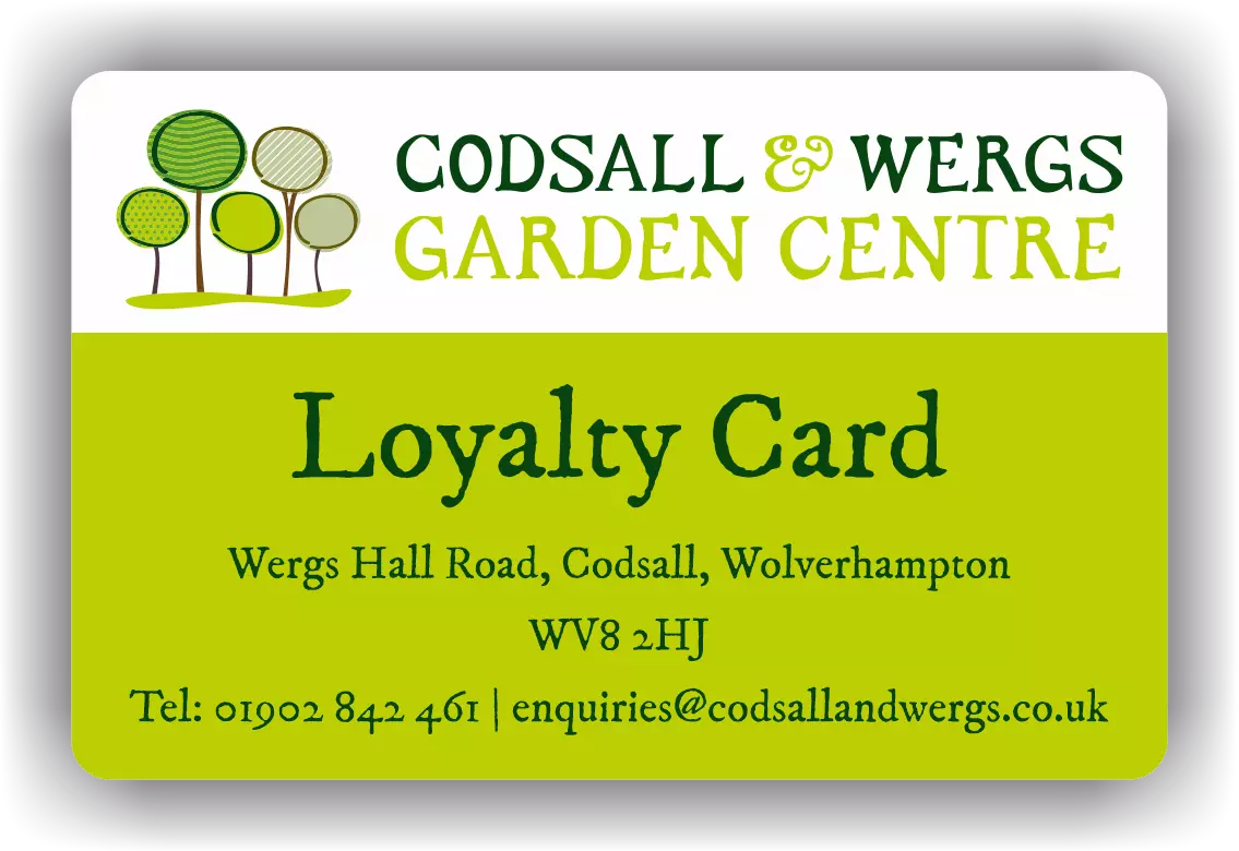 Loyalty Member