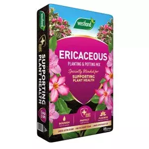 Westland Ericaceous Planting & Potting Mix Bag 25L
